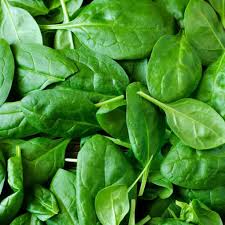 Épinards frais